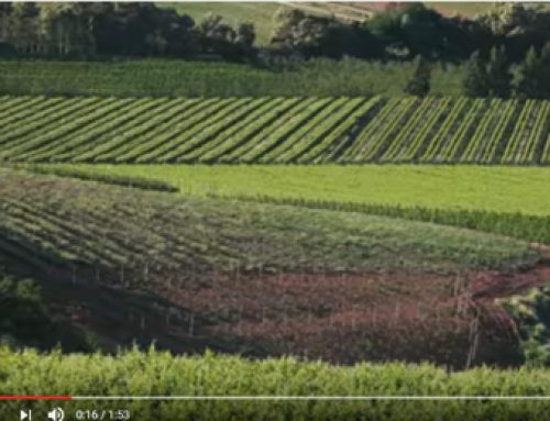 This…. is the Breedekloof Wine Valley