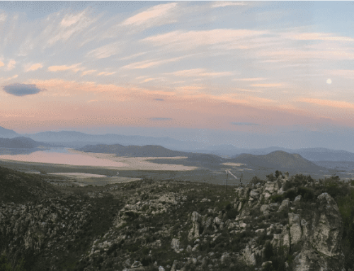 Klipbokkop Mountain Reserve – Worcester